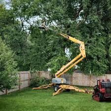 Best Tree Cabling and Bracing  in Kuna, ID