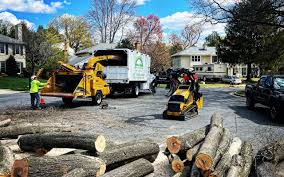 How Our Tree Care Process Works  in  Kuna, ID