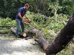 Best Arborist Consultation Services  in Kuna, ID